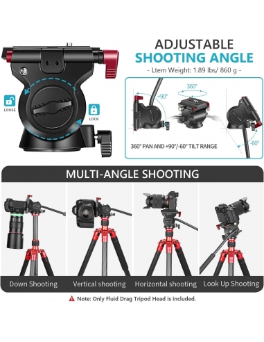 Neewer Testa Orientabile Fluida...