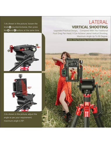 Neewer Testa Orientabile Fluida...