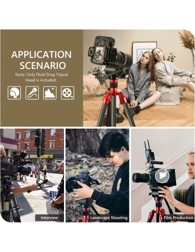 Neewer Testa Orientabile Fluida...