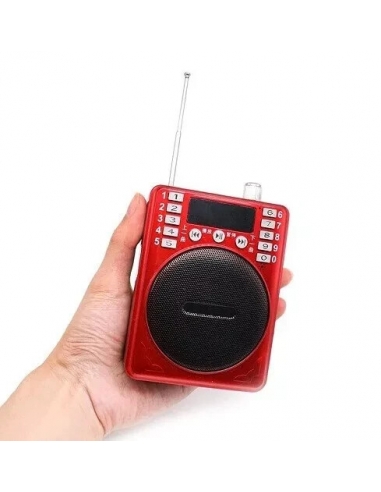 Andowl Amplificatore Guida Turistica...