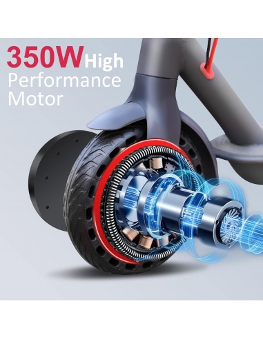 Sixfox TX01 Monopattino Elettrico...