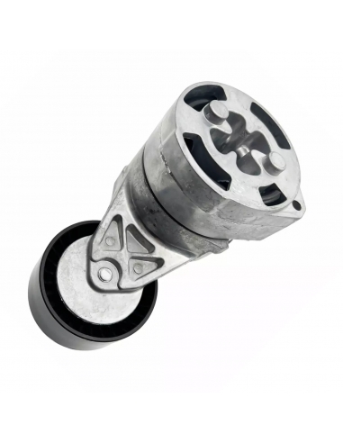 FAST FT44623 Rullo tenditore cinghia...