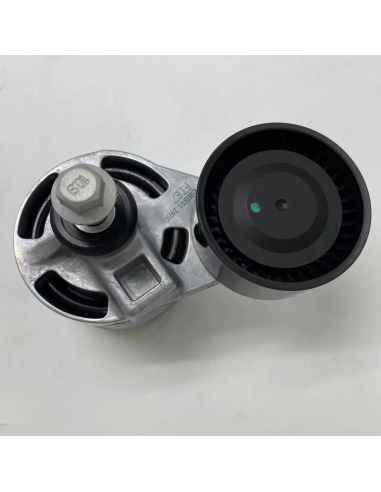 FAST FT44623 Rullo tenditore cinghia...