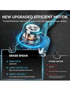 Seesii SH300 Tagliasiepi a... 2