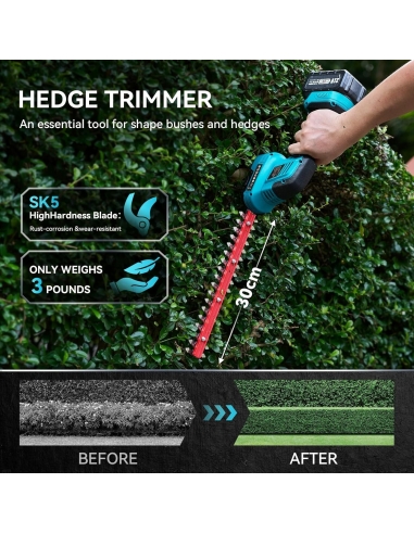 Seesii SH300 Tagliasiepi a batteria...