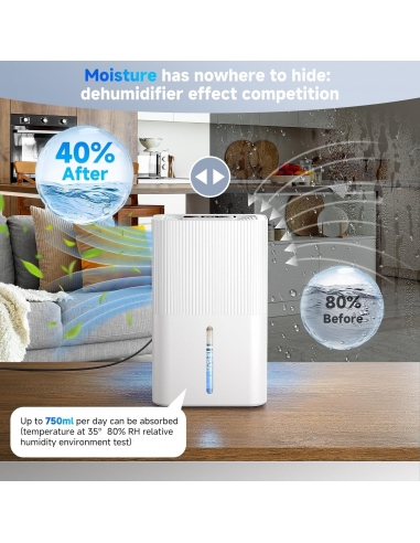 FIAHNG Deumidificatore Elettrico 2.7L...