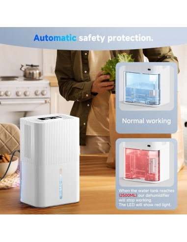 FIAHNG Deumidificatore Elettrico 2.7L...