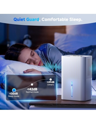 FIAHNG Deumidificatore Elettrico 2.7L...