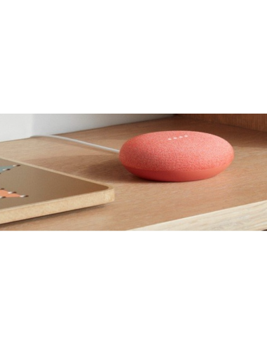 Google Home Mini H0A Google 1600...