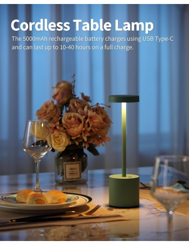 2 x Visdanfo Lampada da tavolo LED...