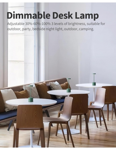 2 x Visdanfo Lampada da tavolo LED...