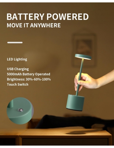 2 x Visdanfo Lampada da tavolo LED...