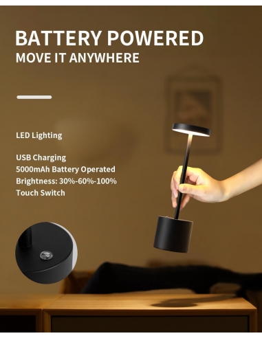 2 x Visdanfo Lampada da tavolo LED...