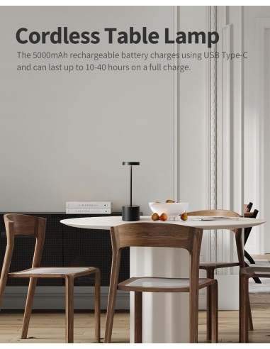 2 x Visdanfo Lampada da tavolo LED...