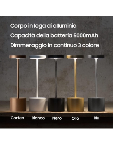 2 X Visdanfo Lampada da tavolo LED...