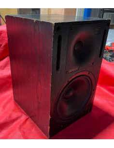 GENELEC 1031A Monitor da... 2