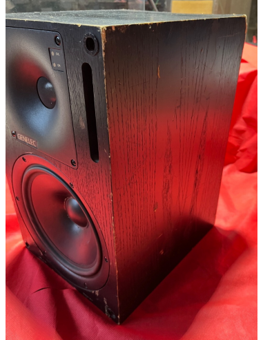 GENELEC 1031A Monitor da studio 120W