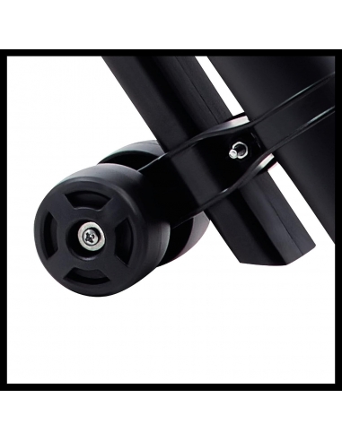 Einhell GC-EL 3024 E Aspiratore...