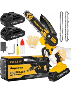 Angseen Brushless Mini...