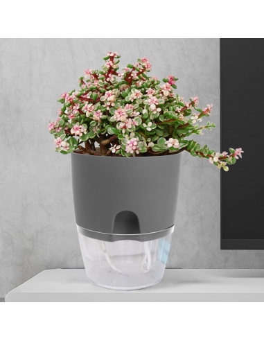 SELF PLANTERS Set di 3 vasi per erbe...