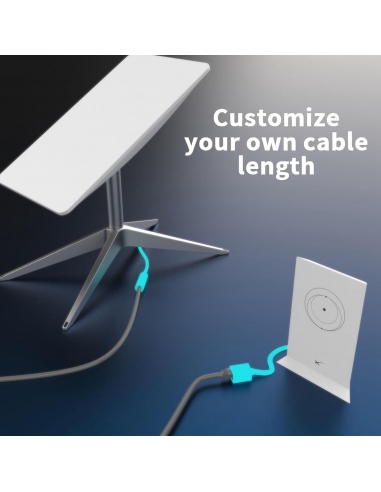 Bewinner Adattatore SPX Maschio a...