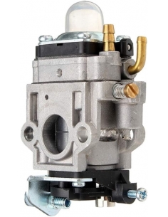 Carburatore...