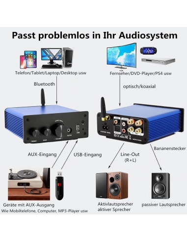 HANLIM HL-615 Mini Amplificatore HiFi...