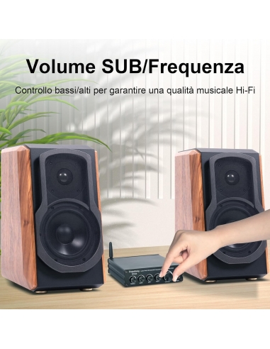 Depusheng DPA30 TPA3116D2 CHIP Mini...