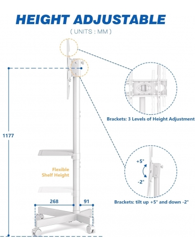 RFIVER Supporto TV da Pavimento Porta...