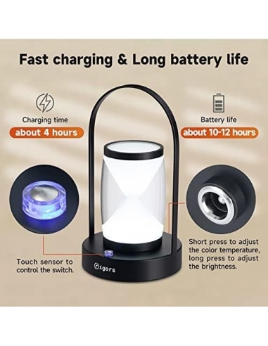 RIGORS Lampada da Scrivania da Tavolo...