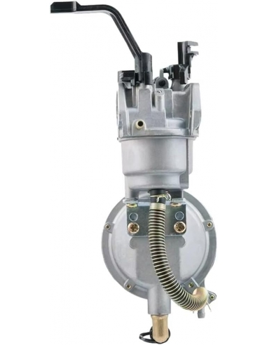 Xtahdge 3KW 168F 170F Generatore A...