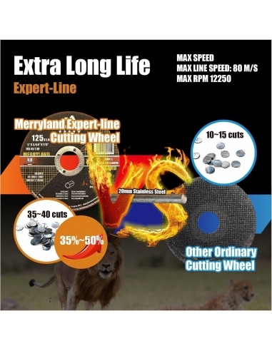 Merryland Disco da taglio 230 in...