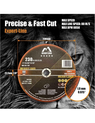 Merryland Disco da taglio 230 in...