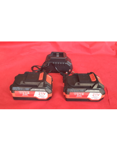 Outigo DL12 Motosega a batteria...