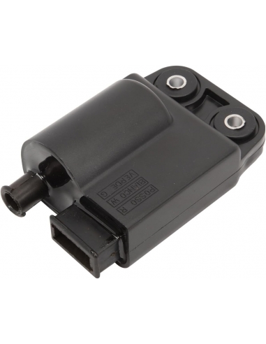 Taesayl Bobina accensione centralina...