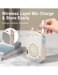 PRUNUS A10 Amplificatore... 2