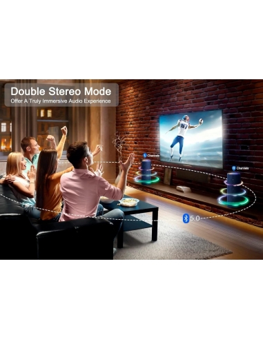 ABUYTWO A3102 Altoparlante Bluetooth...