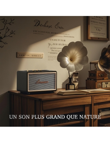 LONRUER DREAM Altoparlante Bluetooth,...