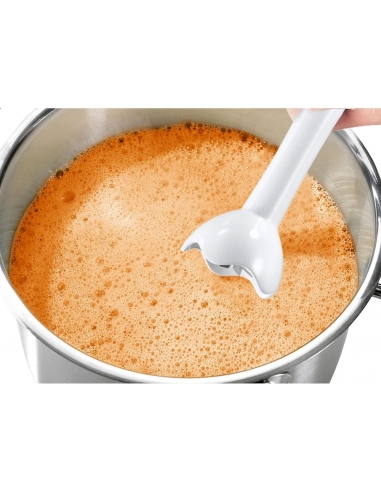 Bosch MSM6B150 Frullatore a...