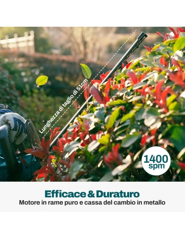 KIESBOHR CSL502 Tagliasiepi a...