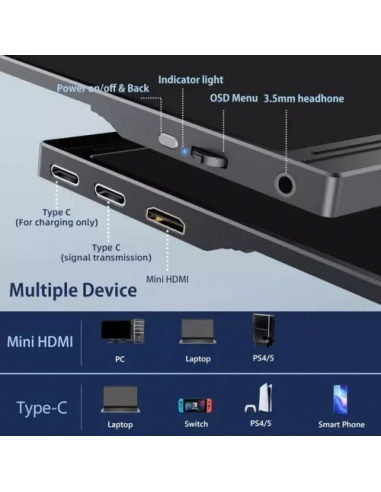 GS156CM2-D Monitor Portatile 15.6''...