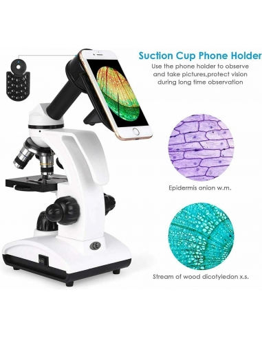 Microscopio TELMU 40x a 1000x Lente Acromatica e LED Regolabile